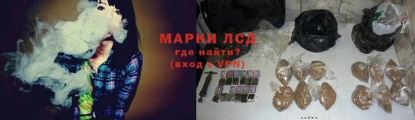 тгк Дмитров