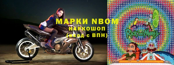 тгк Дмитров