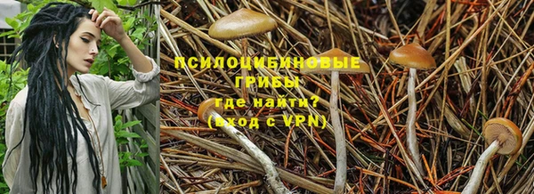 прущие крисы Жердевка