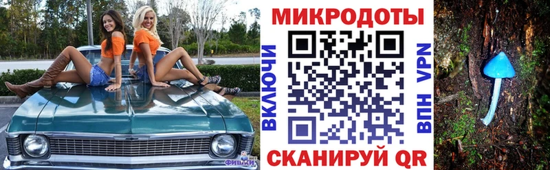 кракен сайт Ивантеевка Псилоцибиновые грибы прущие грибы