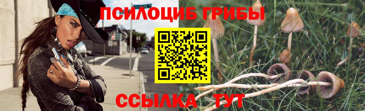 Галлюциногенные грибы Magic Shrooms  Вход с VPN  Ивантеевка 